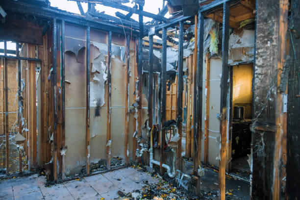Professional Fire Damage Removal technician working in New Germany, MN