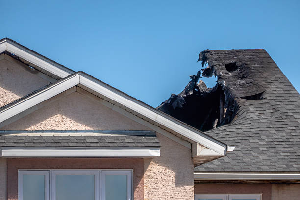 Top rated local Fire Damage Removal specialists in New Germany, MN
