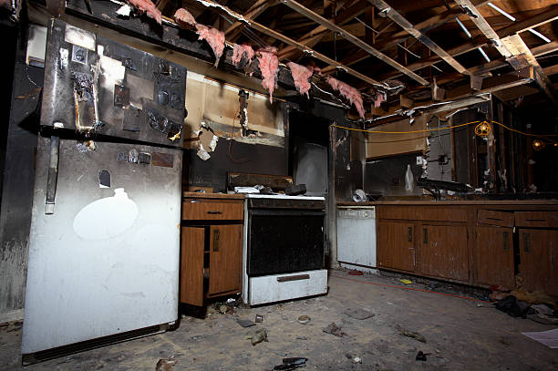 Licensed Fire Damage Removal service in New Germany, MN - Fire Damage Doption